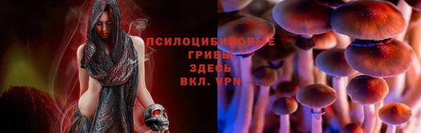 дмт Белокуриха