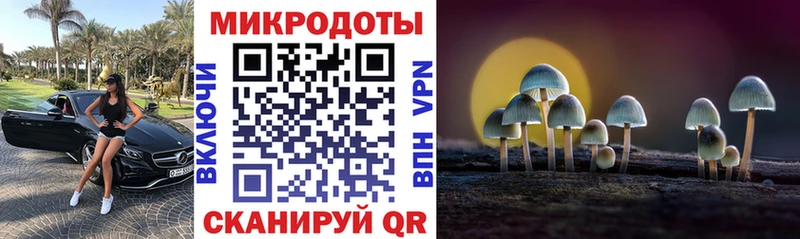 Псилоцибиновые грибы ЛСД Динская